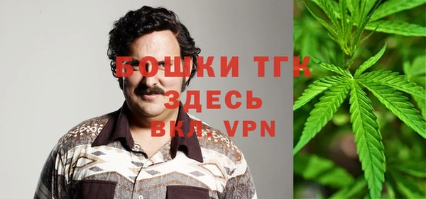 бошки Верхний Тагил