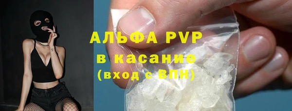 шишки Горняк