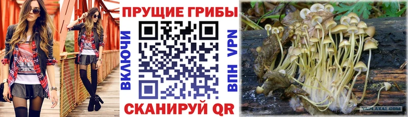 Галлюциногенные грибы MAGIC MUSHROOMS blacksprut ONION Долинск